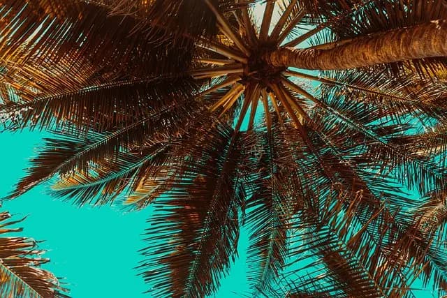 10 Things to Know Before Traveling to Exotic Destinations