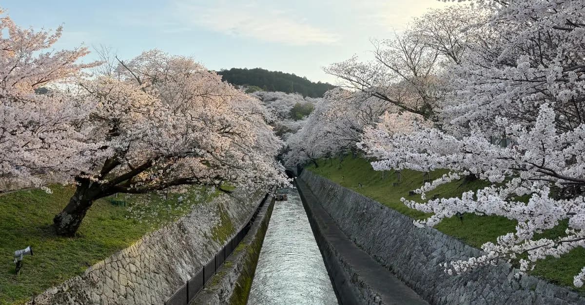 Exploring Timeless Travel Destinations That Inspire Awe