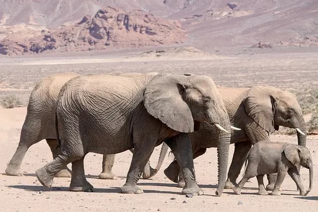 Top Tips for Planning Your Next World Travel Adventure
