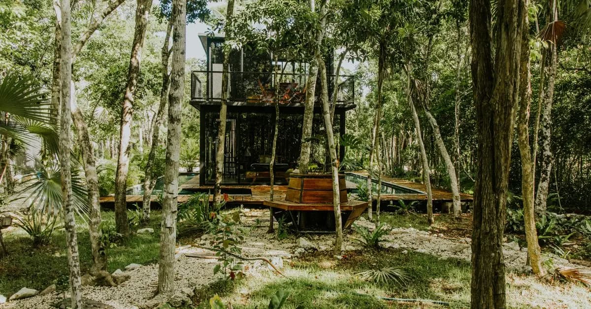 The Best Eco-Friendly Travel Destinations to Explore