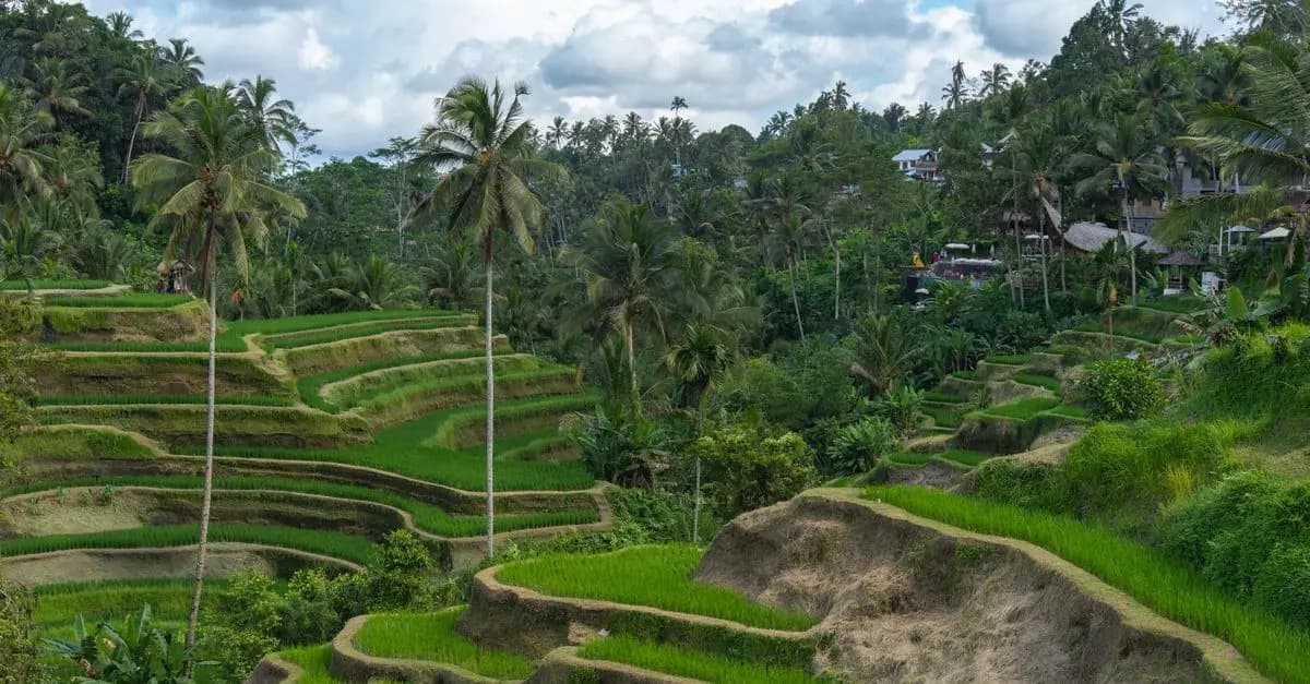 Best Eco-Friendly Travel Destinations to Explore
