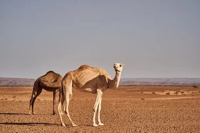 10 Unexplored Travel Destinations You Should Experience