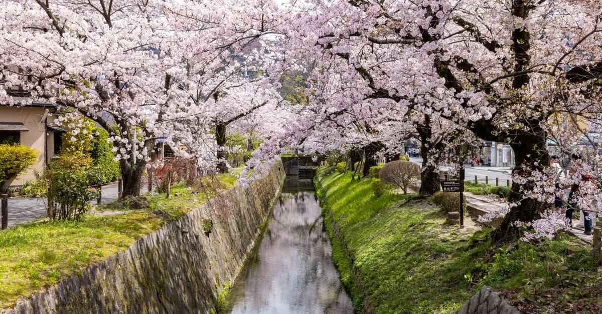 10 Must-Visit Travel Destinations to Experience This Year