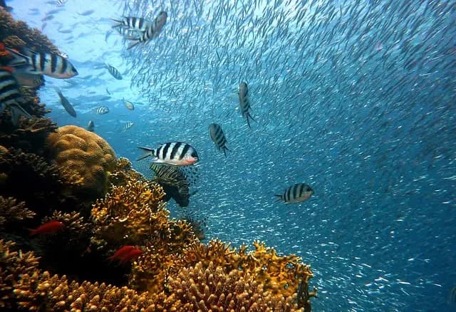 Top 10 Adventure Travel Destinations You Must Experience