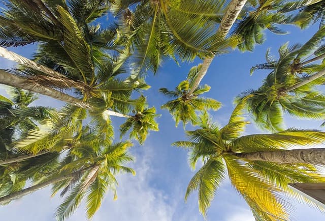 How to Choose the Best Travel Destination for Your Needs