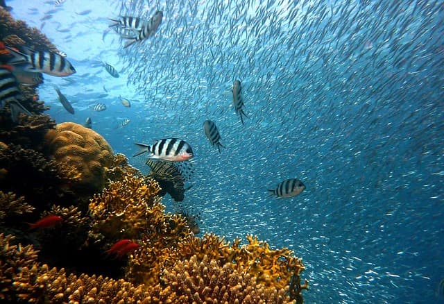 Top 10 Travel Destinations for Nature Lovers