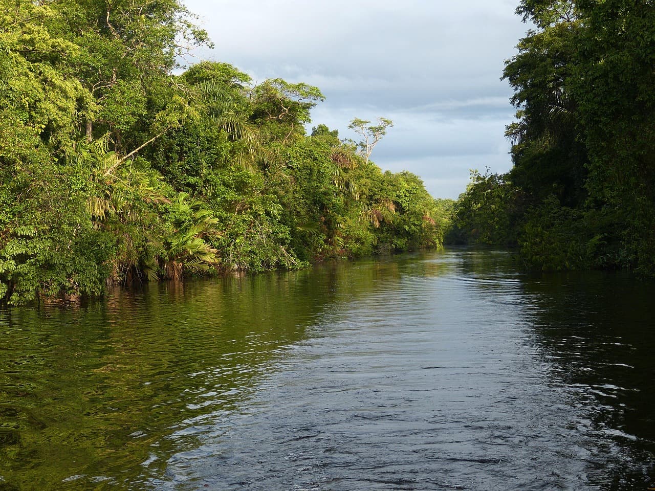 Best Eco-Friendly Travel Destinations to Explore